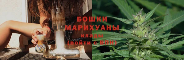 прущая мука Богданович