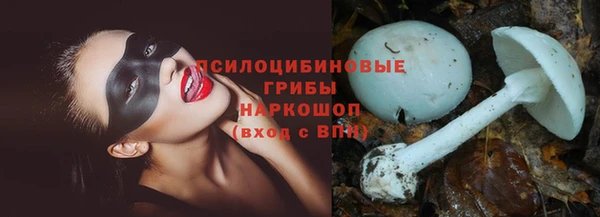 эйфоретик Бугульма