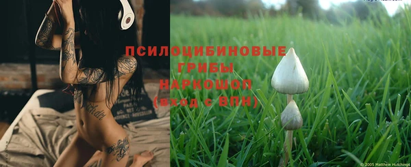 эйфоретик Бугульма